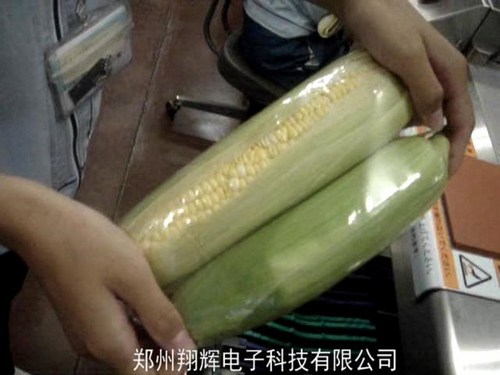 蔬菜自動包裝機
